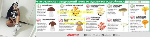 не бодяженный Алзамай