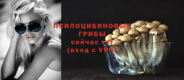 не бодяженный Алзамай