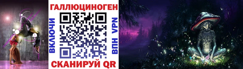 Псилоцибиновые грибы Psilocybe Иланский